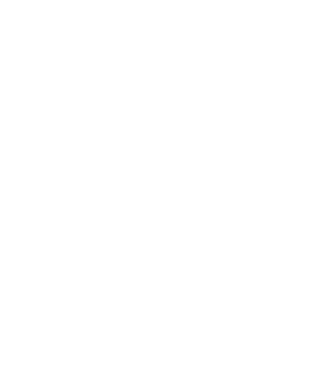 Réparation appareil photo arrière iPhone 5C Image
